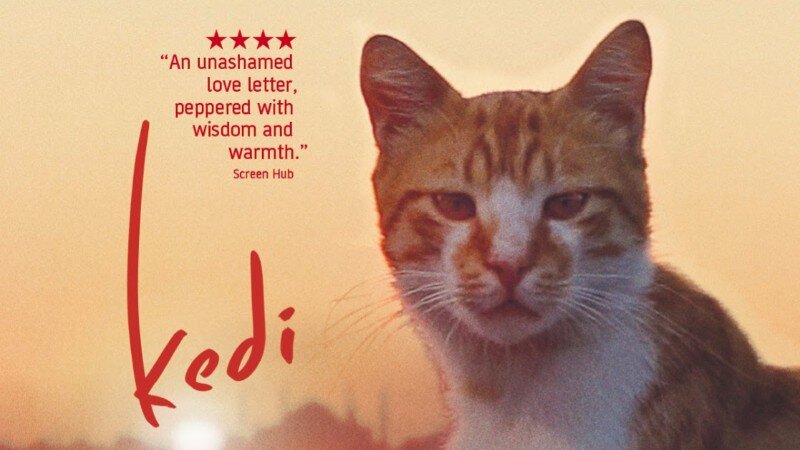 Источник: mk-turkey.ru