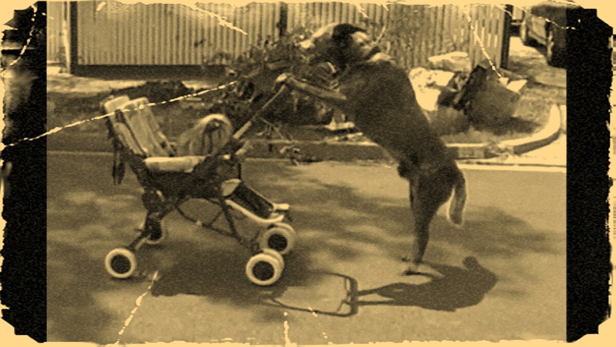 Пишите свои комментарии и ставьте лайки.