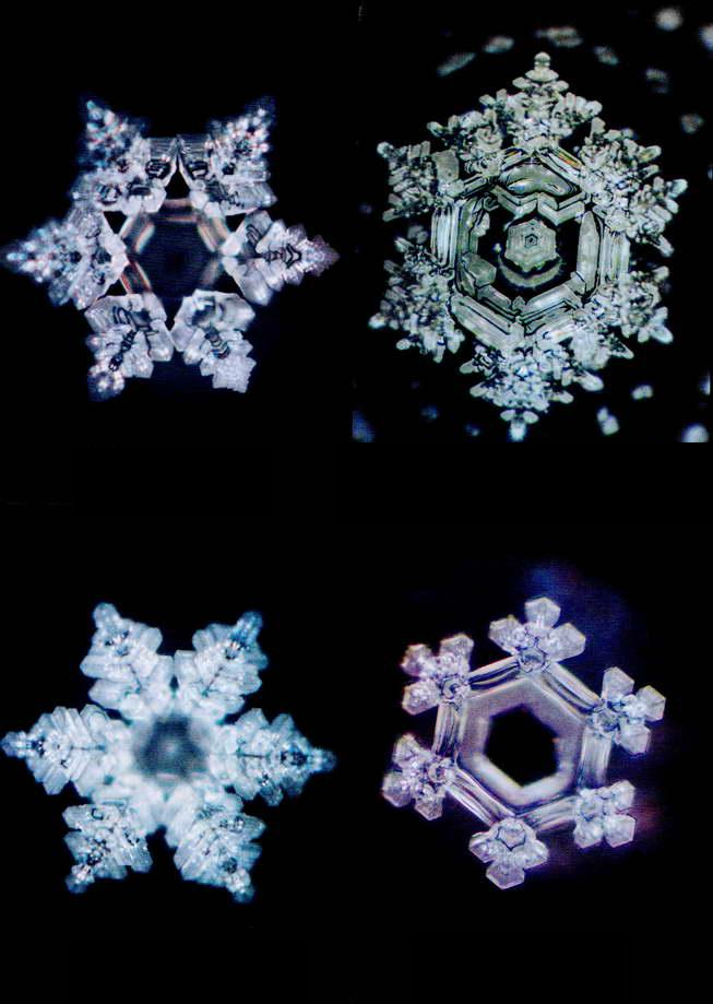 Вода после молитвы. Японский ученый Масару Эмото снежинки. Кристаллы Эмото Масару. Кристаллы воды Масару Эмото. Фотографии кристаллов воды Масару Эмото.