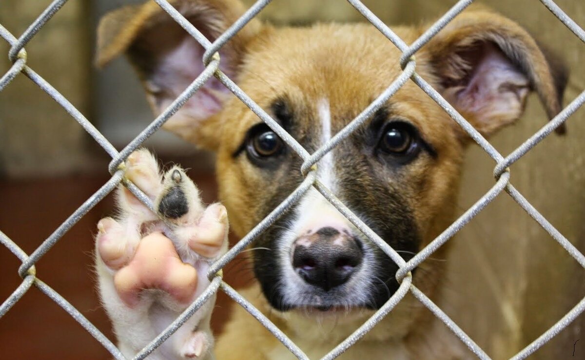 Подписывайтесь на канал, ставьте лайки. (Фото с открытого источника)