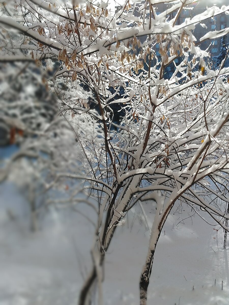 Как же сегодня красиво! Да еще и какой романтичный день! В моей семье не принято отмечать этот праздник, он у нас каждый день! Я к счастью из тех счастливчиков, у кого спросят надела ли я шапку, уходя и приходя с работы поцелуют, обнимут и спросят как прошел мой день. Но сегодня все таки я решила приготовить подарок мужу и не пожалела, его счастья не было придела! Как же здорово смотреть, что твоя вторая половинка рада))))  Дочь узнав о празднике, пошла втихаря делать валентинки))) Надеюсь тоже притащит из школы парочку))))