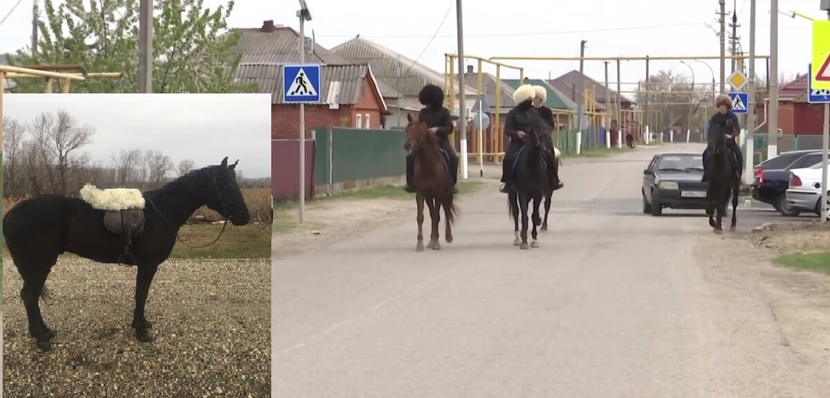 Чуц казбек асланович афипсипское сельское поселение фото