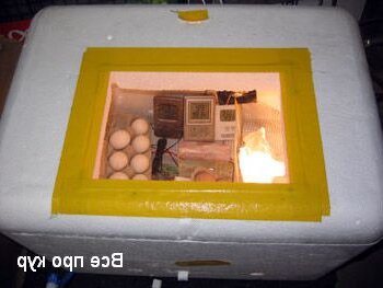 Автоматические инкубаторы для яиц