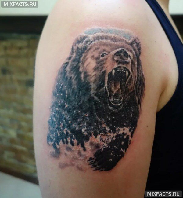 Тату Медведь на плече