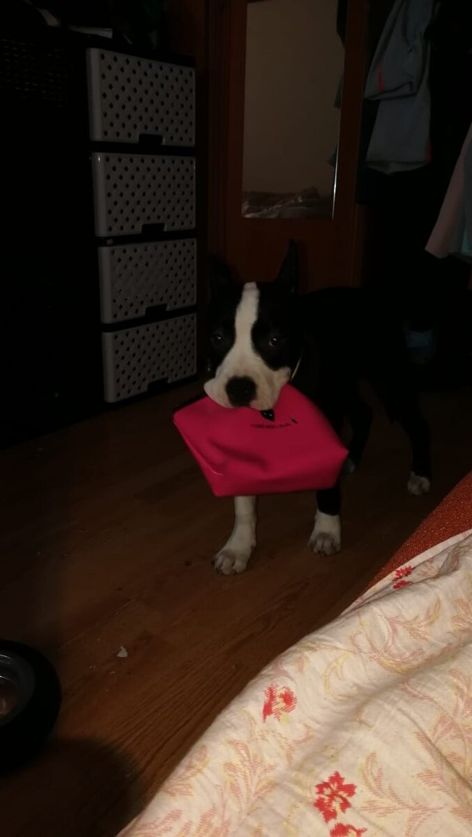 Фото из личного архива.