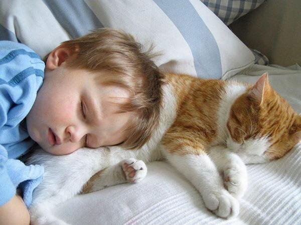 Как уложить ребенка спать без слез: полезные советы - belgorod-potolok.ru