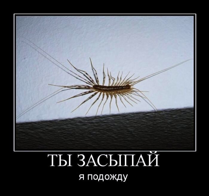 Источник фото - Яндекс.Картинки