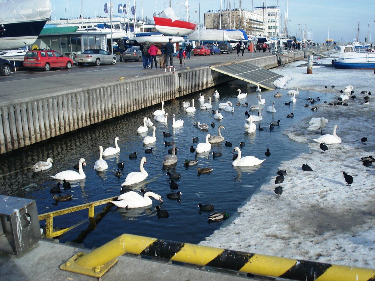 Зимой виды не особо впечатляющие) 