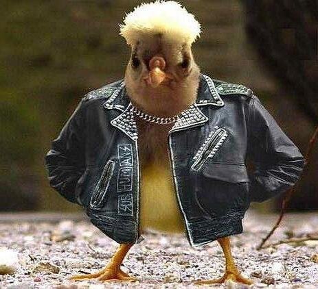 Фото из открытых источников Интернета.