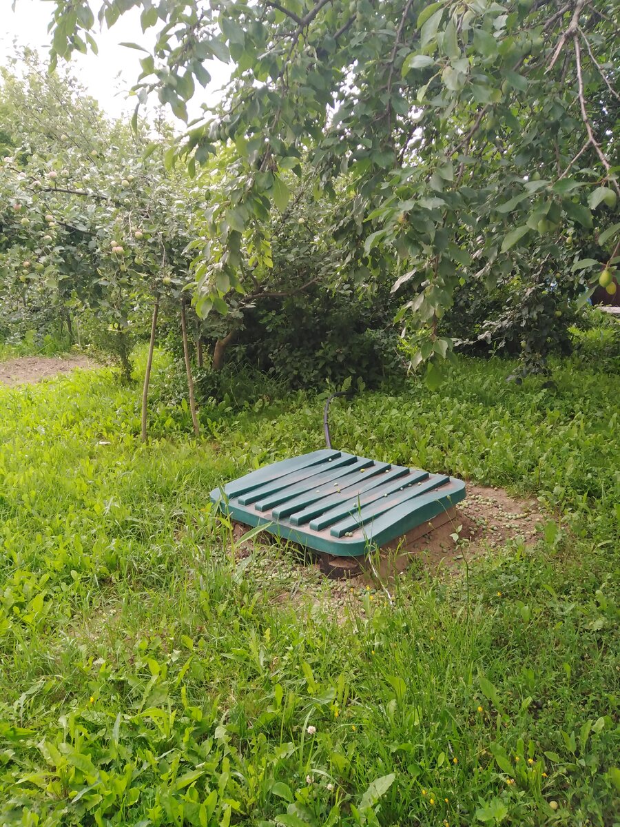 Вот он, наш красавчик