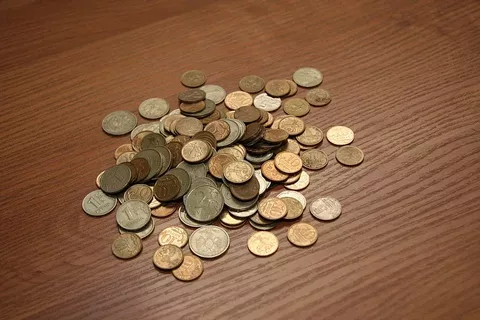 мелочь должна лежать в кошельке