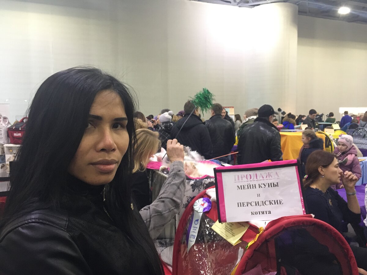 Это мы ходили на выставку котят на ВВЦ.