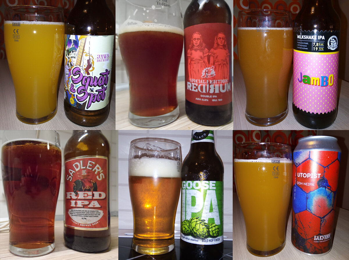 Различные виды IPA. Фото автора