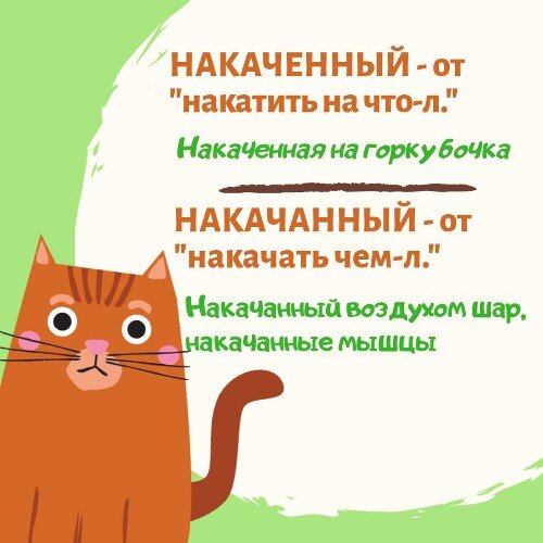 15 видов планки, чтобы укрепить ягодицы и пресс. Показываем на гифках - попечительство-и-опека.рф