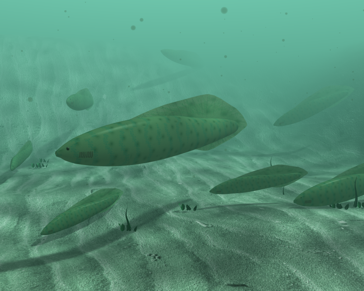 Какими были первые рыбы. Haikouichthys ercaicunensis. Кембрийский период Хайкоуихтис. Myllokunmingia и Haikouichthys. Миллокунмингия и Хайкоуихтис.