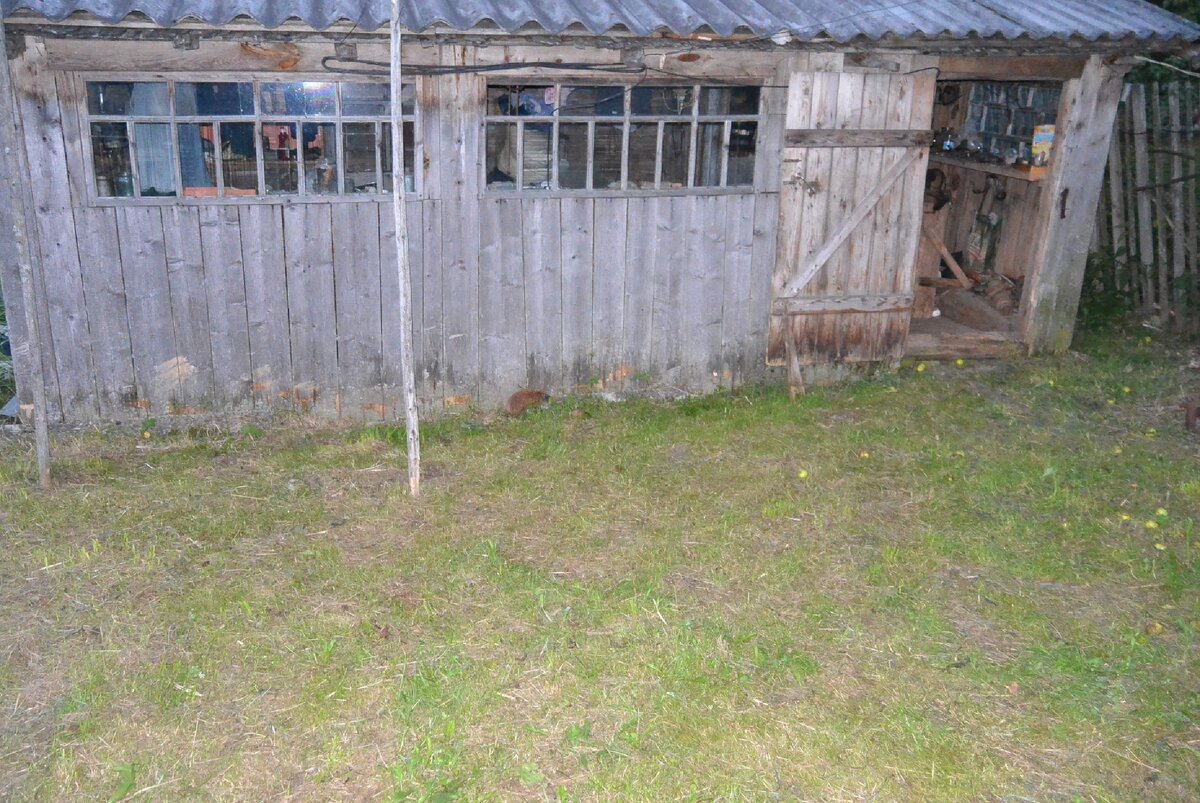 Под баней бегает ёжик 