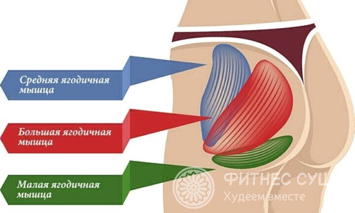 Как накачать попу