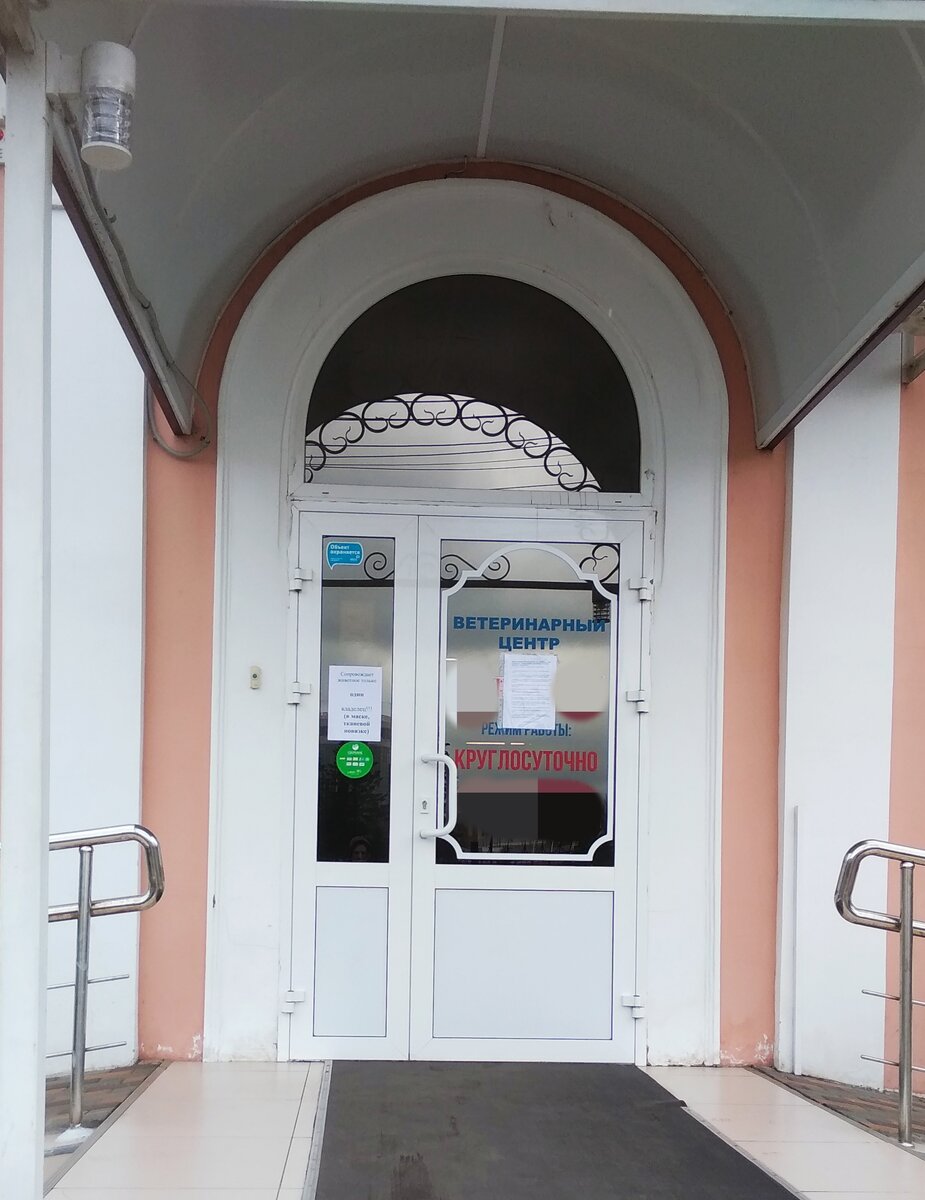 А ветклиника работает всегда...