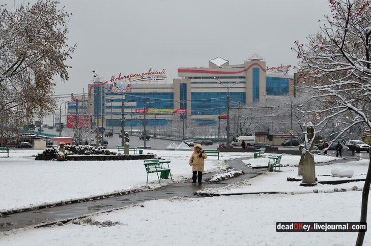 «Здоровая ферма» полетит по судам: реакция «Черкизово» и банка «Траст» - 2 ноября - ру