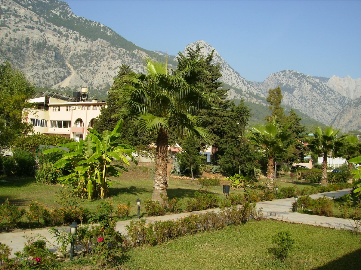 фото из открытых источников