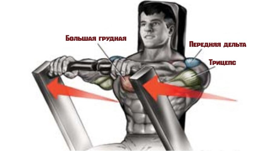 Жим от плеч сидя в тренажере