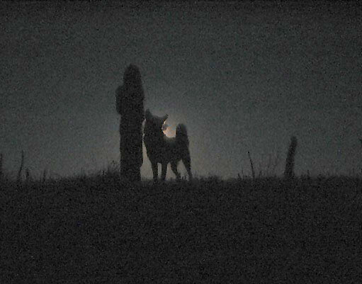 фото взято с сайта Pixabay (C)