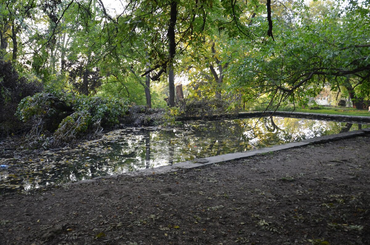 Один из прудов на Максимовой даче в Севастополе. Фото автора.