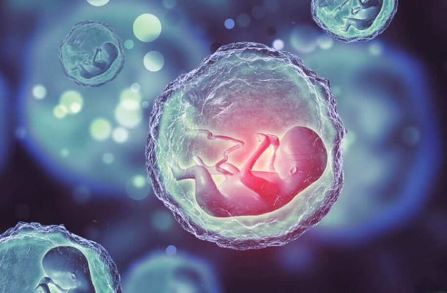 гугл.картинки