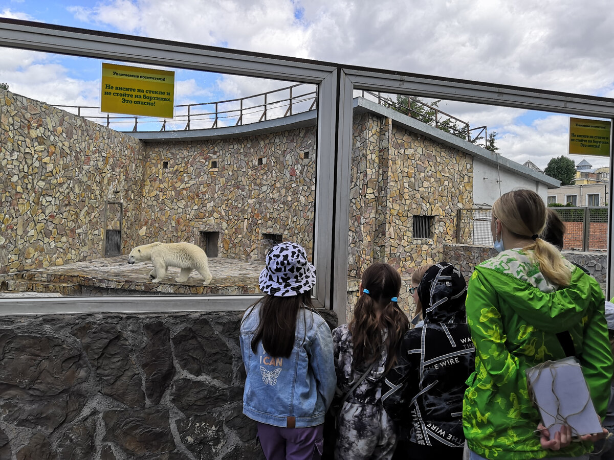 Символ Ленинградского зоопарка- белый медведь. 