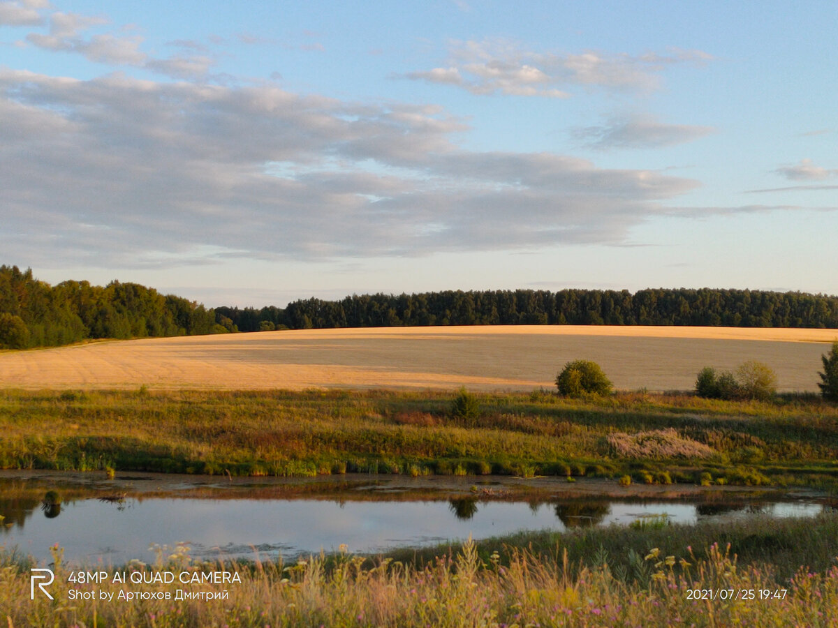Природа окрестностей села Узуново. Фото автора 