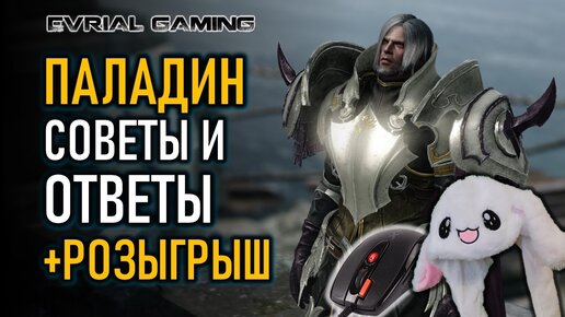 ПАЛАДИН LOST ARK И АНОНС РОЗЫГРЫША