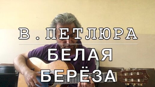 Белая береза песня слушать под гитару. Виктор Петлюра белая береза. Петлюра белая береза слова. Петлюра белая береза слушать.