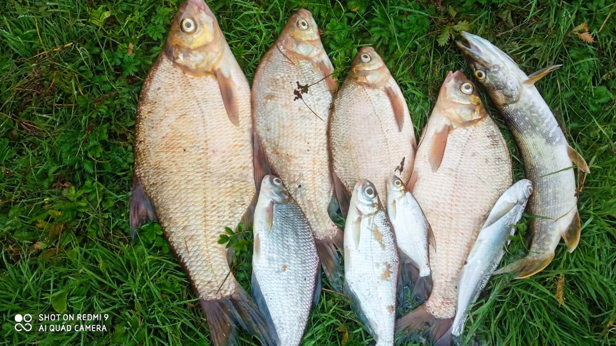 Фотография товарища Константина М.