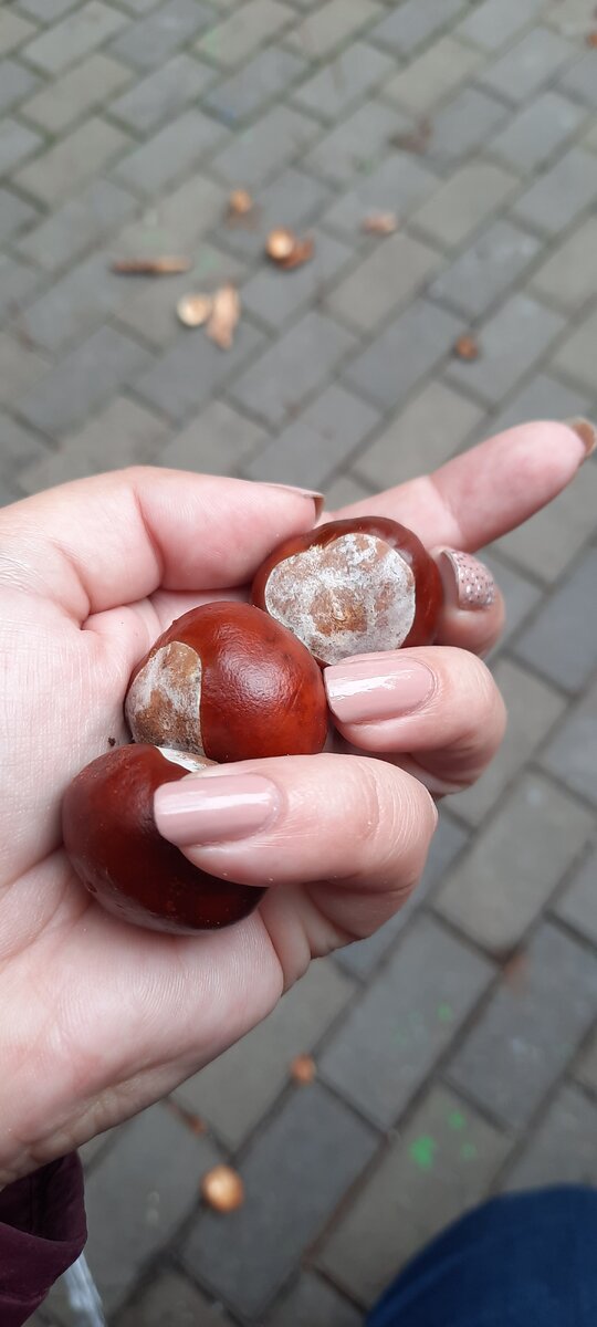 #мечты #размышлизмы 