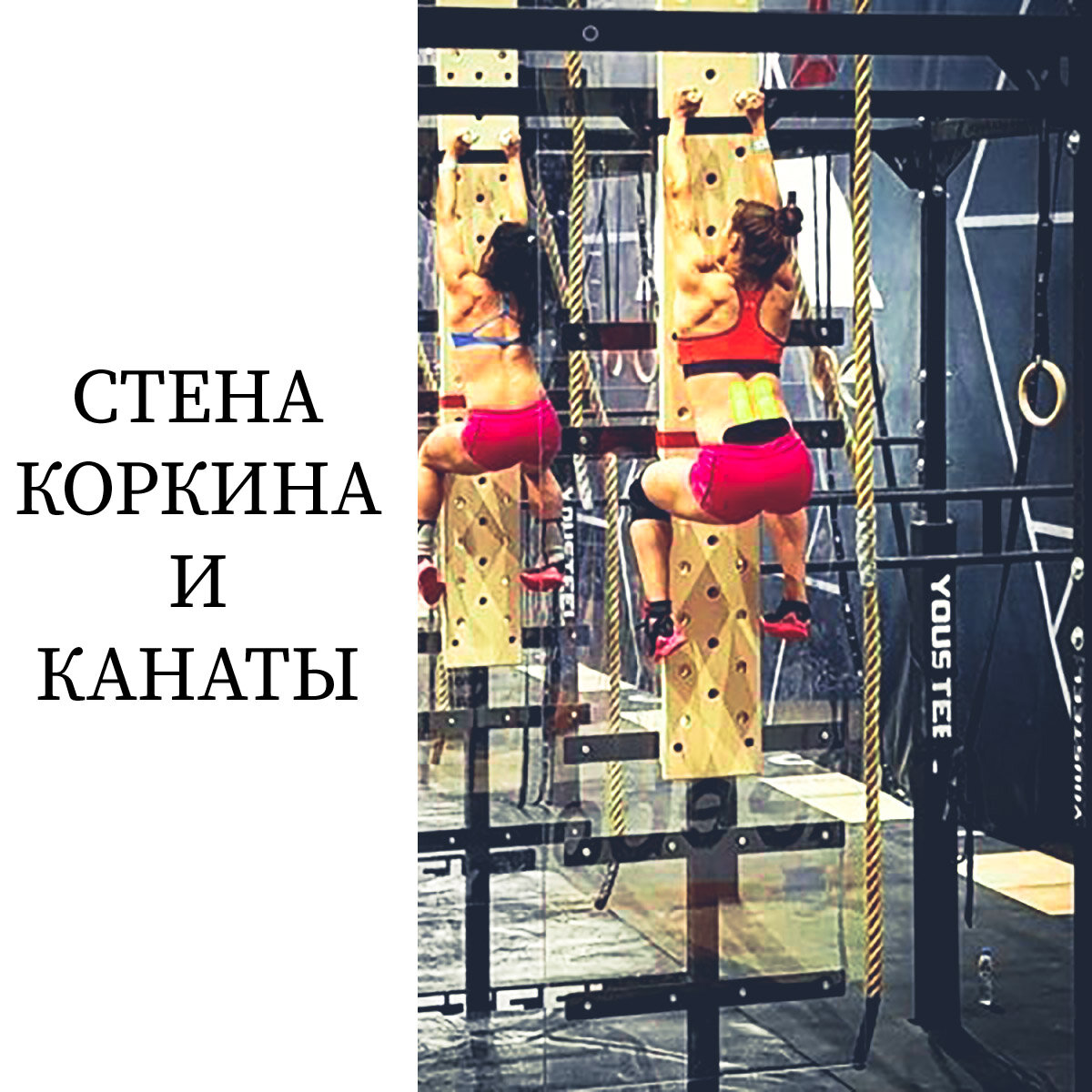 вечная сила 85