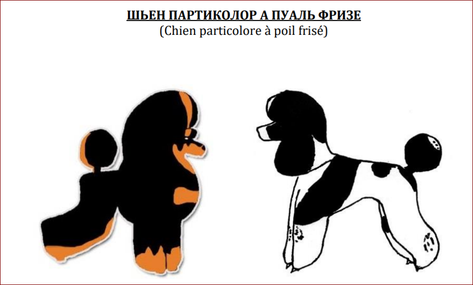 Источник: http://rkf.org.ru/