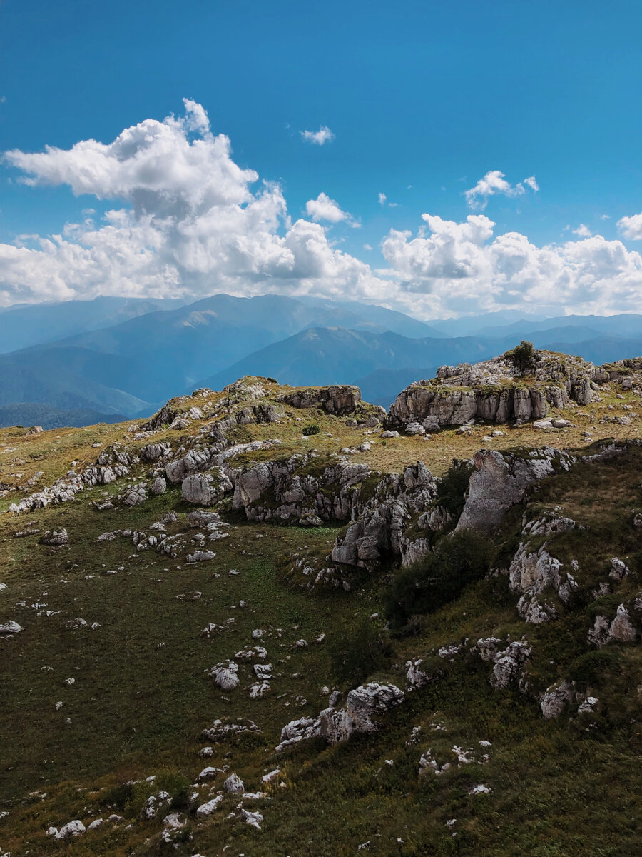 Плато Лаго Наки Альпийские Луга