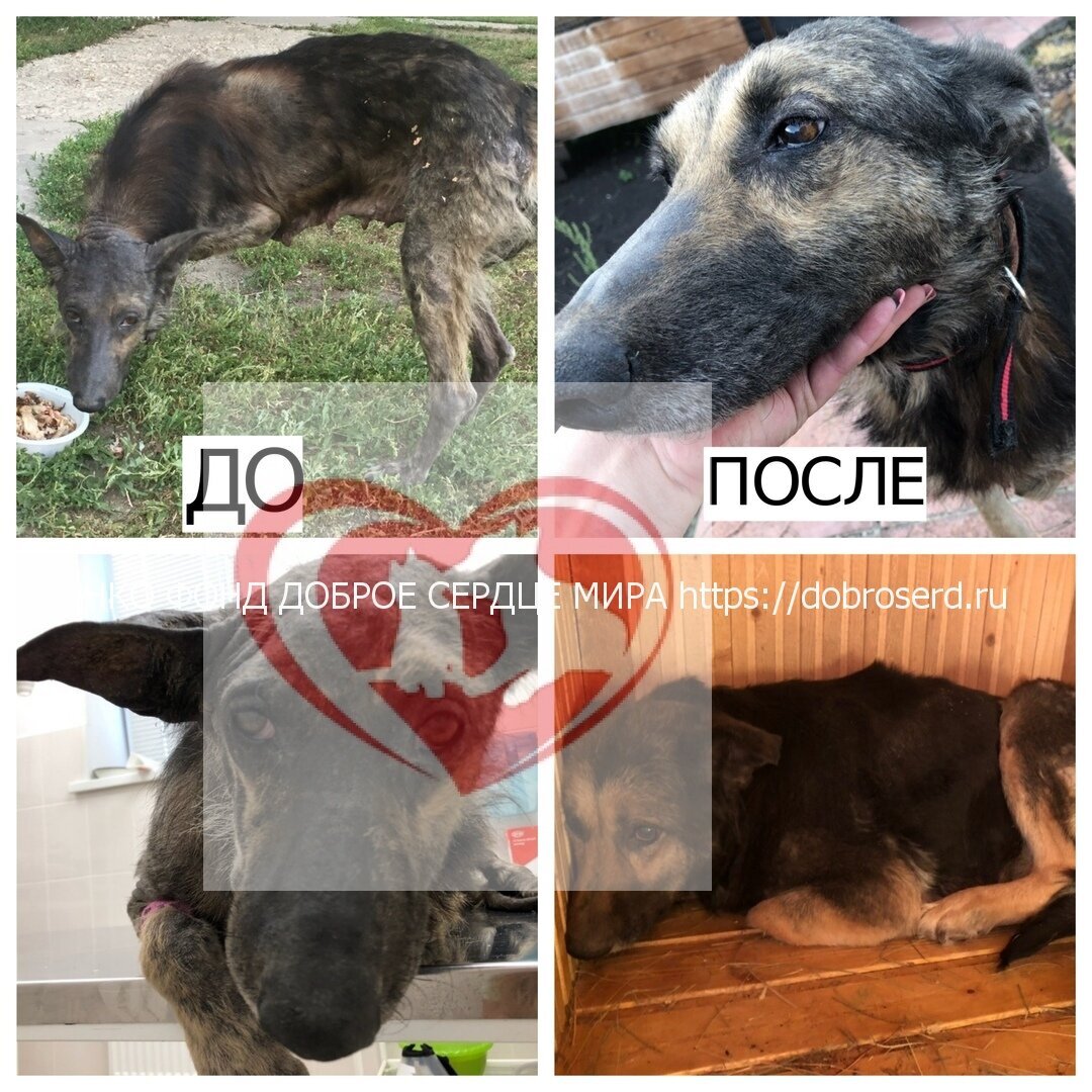 Арина - подопечная фонда Доброе Сердце мира 