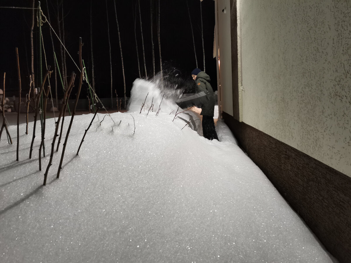 Такой январь, упасть в сугроб и плакать 🌨 🤦‍♂️ | Из квартиры в дом | Дзен