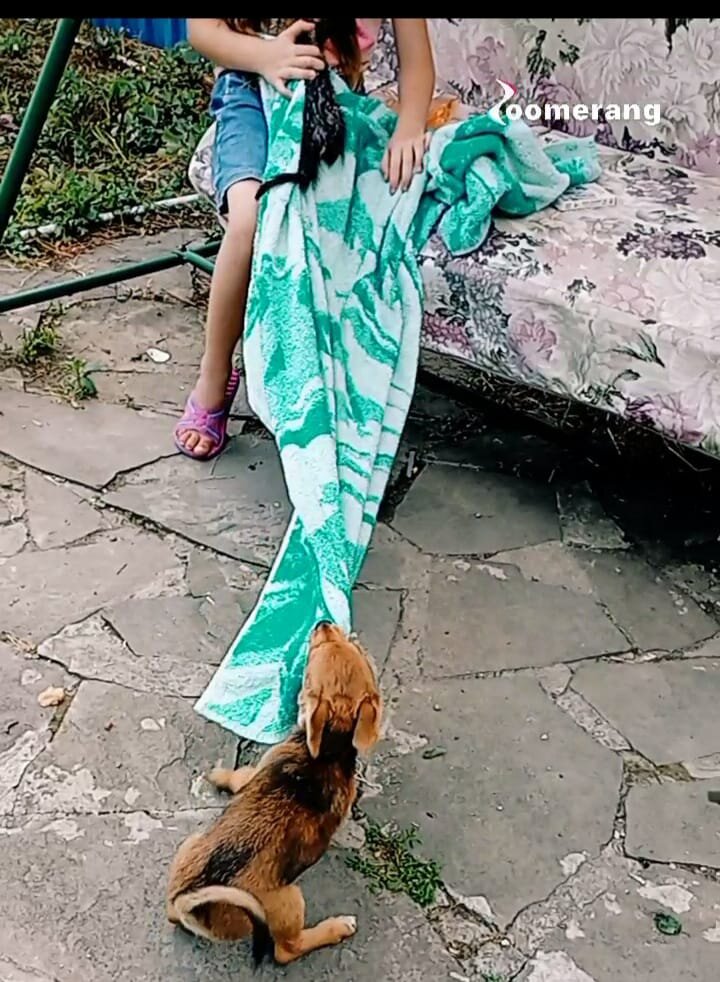 Филя помогает