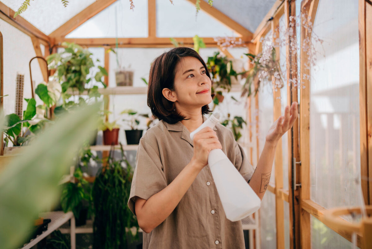 Опрыскивание растений в теплице.