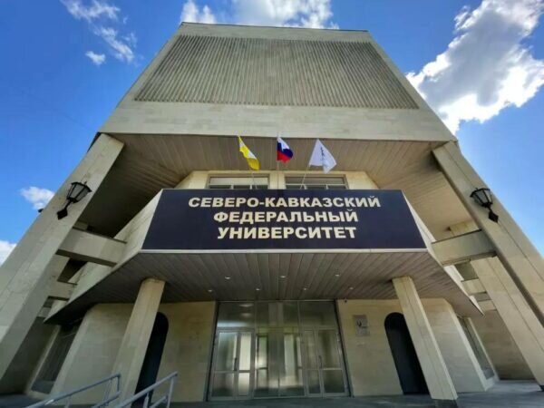    Фото: СКФУ/ Телеграм-канал