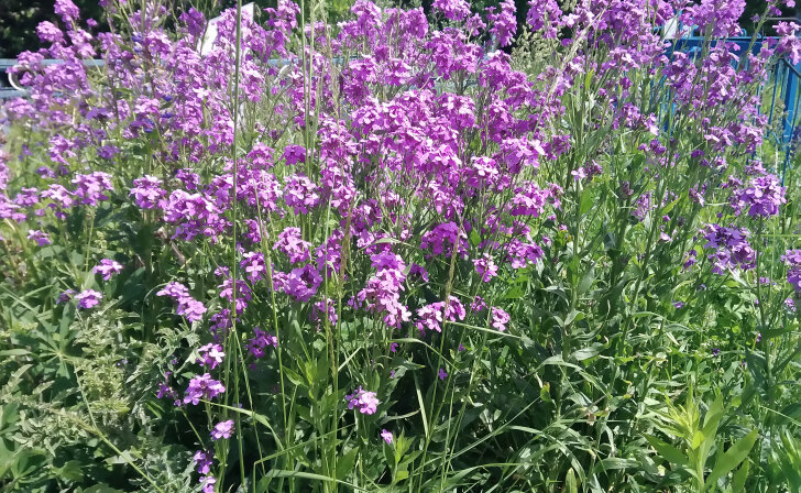    Курские экологи обследовали особо охраняемые природные территории в Мантуровском районе
