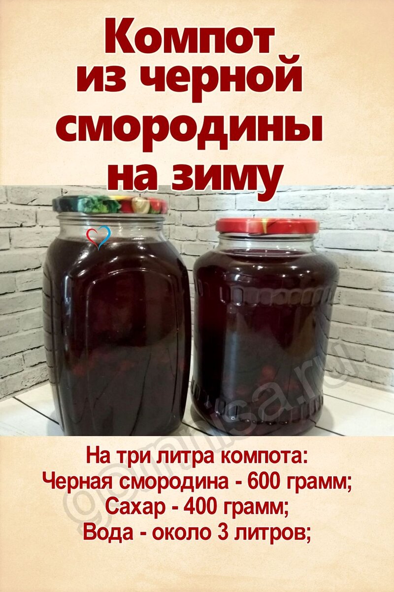    Компот из черной смородины на зиму Pavlov A