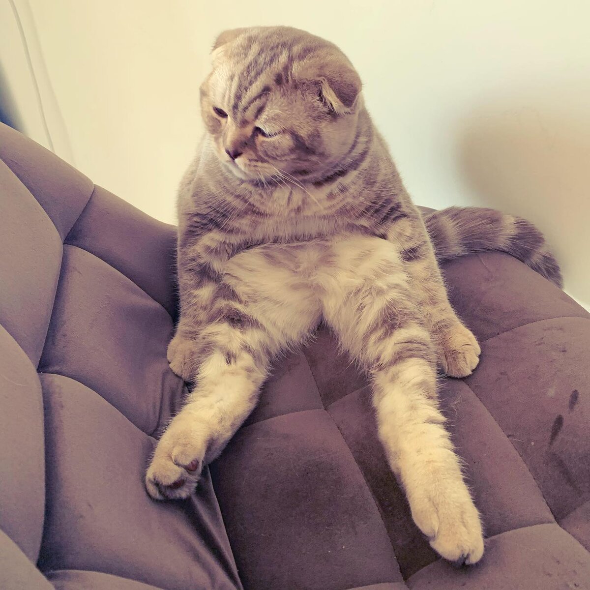 "Они все таки решили взять меня с собой..."