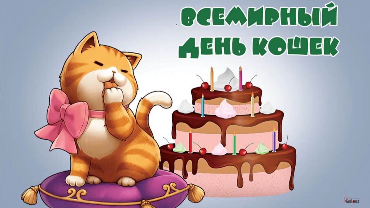 Всемирный день кошек. Иллюстрация: «Курьер.Среда»