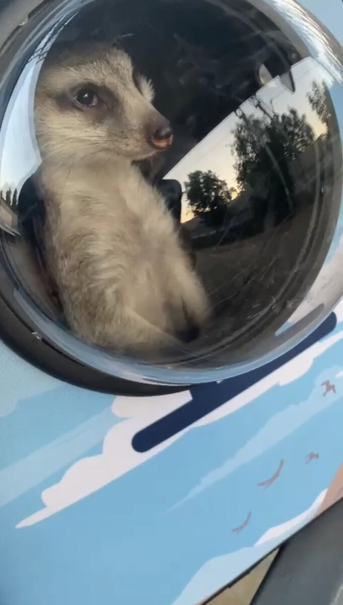 Тут он еще казался мне довольно милым.