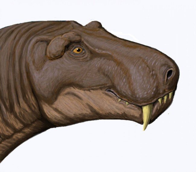 После убийства очередной жертвы, его взгляд становился грустным, а глаза добрыми…