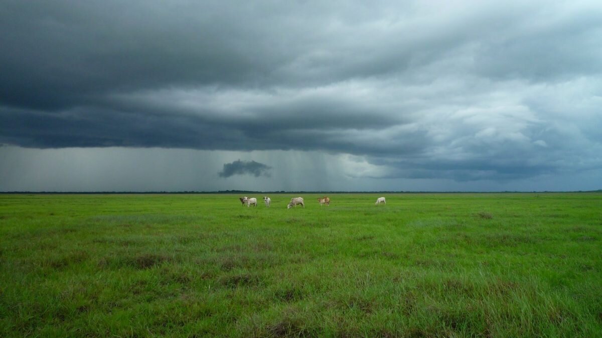    Фото: unsplash.com. Август Макаров