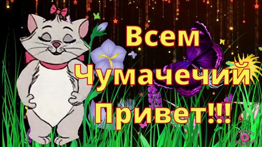 Улыбнись. Видео взято из сети интернет